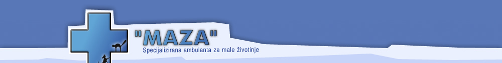 MAZA - specijalizirana ambulanta za male zivotinje